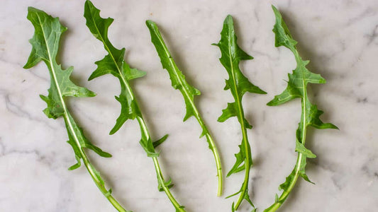 The Dandelion-Powered Glowup: Ancient Secret for Hormones, Skin & Hair