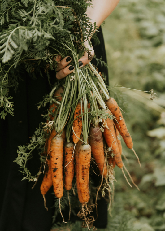 The Viral Carrot Salad: On Ray Peat and the Science