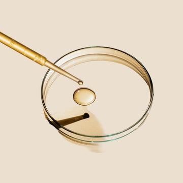 Glass petri dish with a drop of liquid and a wooden stick on a beige background