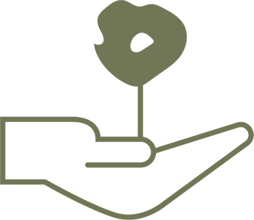 Outline of a hand holding a poppy on a white background